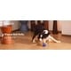 Self-Moving Smart Dog Balls Image 1