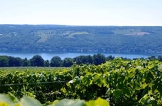 Agriculture-Focused Summit Competitions