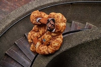 Comfort Food Puffers Image 3