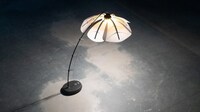 Interactive Blooming Floor Lamps Image 3