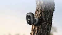 Low-Cost Fee-Free Security Cameras Image 3
