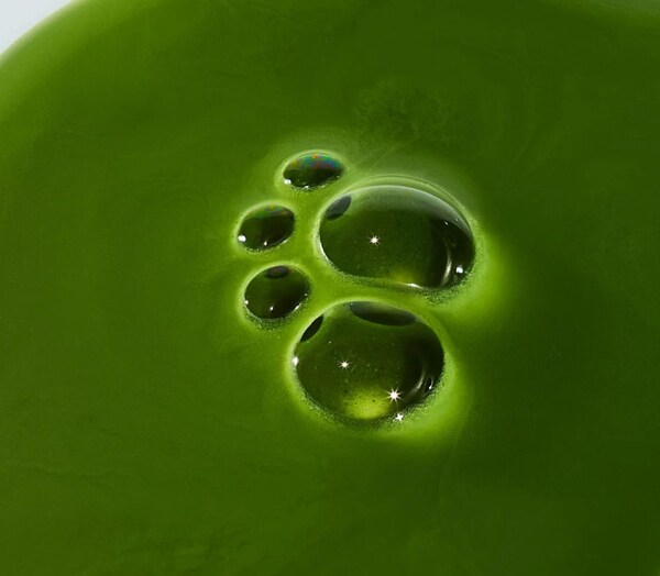 Magnesium-Mushroom Matcha Supplements