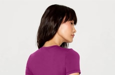 Stretchy Basics Collections