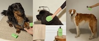 Science-Backed Pet Care Lines