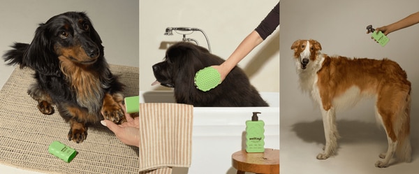 Science-Backed Pet Care Lines