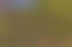 Restored Arizona Mansions