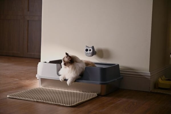 AI-Powered Litter Box Cameras