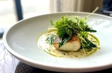 Elevated Wine Experiences