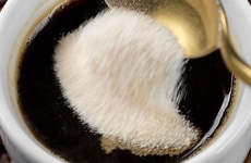 Functional Beverage Collagen Ingredients