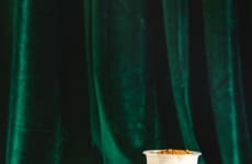 Holiday Bubble Tea Collections