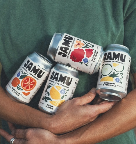 Gut-Friendly Premium Sodas
