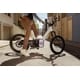 Virtual Drivetrain Electric Bikes Image 1