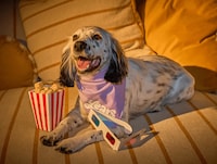 Dog-Friendly Popcorn-Inspired Treats