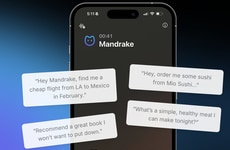 Conversational AI Assistants
