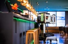 Folding Maintenance Lift Systems