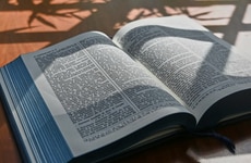 Personal Growth Platforms