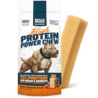 Seasonal Protein Dog Chews