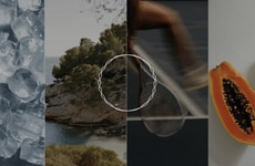 Four-Day Longevity-Focused Wellness Programs