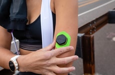 User-Friendly Branded Coaches Networks