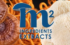 Mushroom-Based Ingredient Extracts