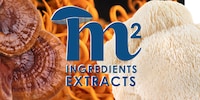 Mushroom-Based Ingredient Extracts