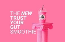 Gut-Friendly Functional Smoothies