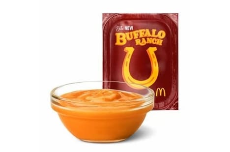 Creamy Spiced QSR Sauces