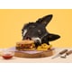 High-Quality Dog-Friendly Burgers Image 1