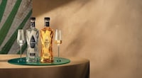 Anniversary-Celebrating Tequila Lines