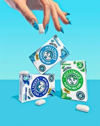 Minimal-Ingredient Chewing Gums