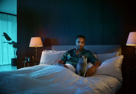 Personalized Pet Stories