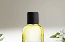 Sustainable Luxury Fragrance Certifications Article Thumbnail
