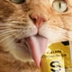 Lickable Wet Cat Treats Image 1
