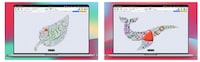 Text Visualization Tools