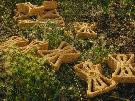 Sustainable Growth Systems