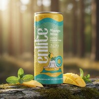 Luminous Beverages Branding Image 8