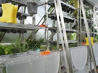 Foldable Greenhouse Kitchens Image 2