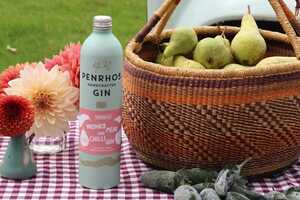 Spicy Upcycled Spirits Article Thubnail