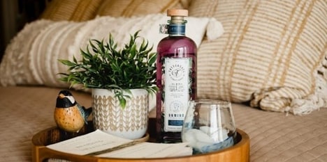 Vibe-Focused Hemp Drinks