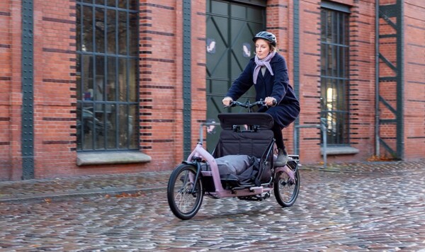 Elongated Cargo-Ready eBikes