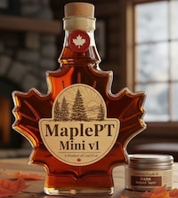 Canadian AI Language Models Image 1
