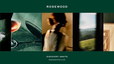 Curated Discovery-Forward Rebranding Strategies