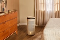 Skin Health Humidifiers