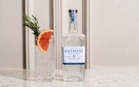 Zero-ABV London Dry Gins Image 1