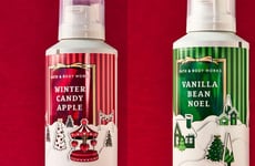 Festive Moldable Soaps