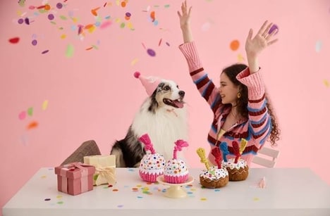 Dog Birthday Cake Toys