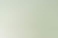 Botanical Korean Skincare Duos