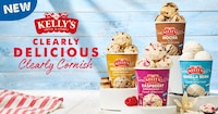 Extra-Thick British Ice Creams Image 1