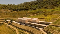 Purpose-Built Terraced Wineries Image 4