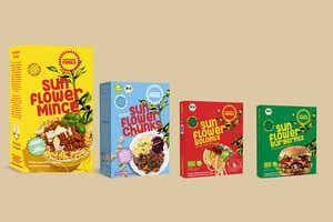 Sunflower Seed Protein Products Article Thubnail